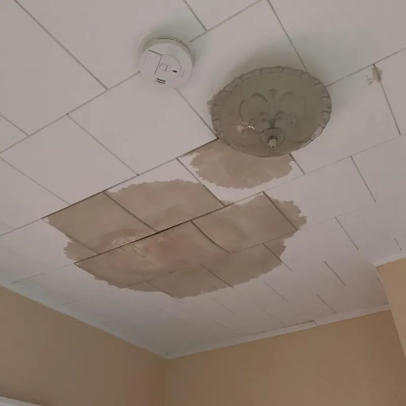 Ceiling Water Damage Repair in Hatboro, PA